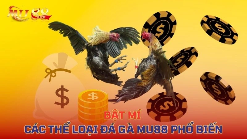 Các loại hình đá gà tại VVVWIN: gà tre, cựa dao, cựa sắt