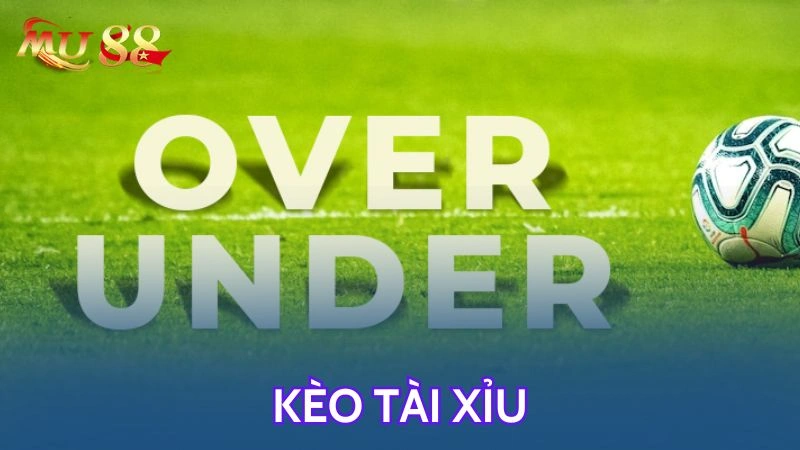 Kèo tài xỉu tại VVVWIN – đơn giản, phổ biến và dễ chơi cho người mới