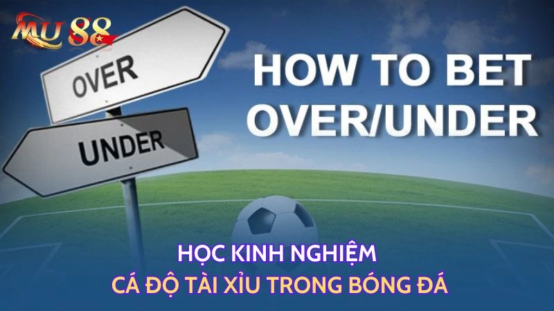 Kinh nghiệm cược tài xỉu VVVWIN – phân tích đội hình, chọn tỷ lệ hợp lý